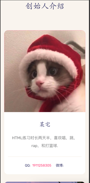 帅气个人团队源码