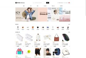 全开源TikTok跨境商城源码/TikTok内嵌商城/前端uniapp+后端+搭建教程-保山人源码网-免费PHP网站源码模板,插件软件资源分享平台！