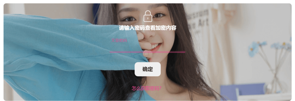 子比主题美化 – 给文章内容加上密码查看
