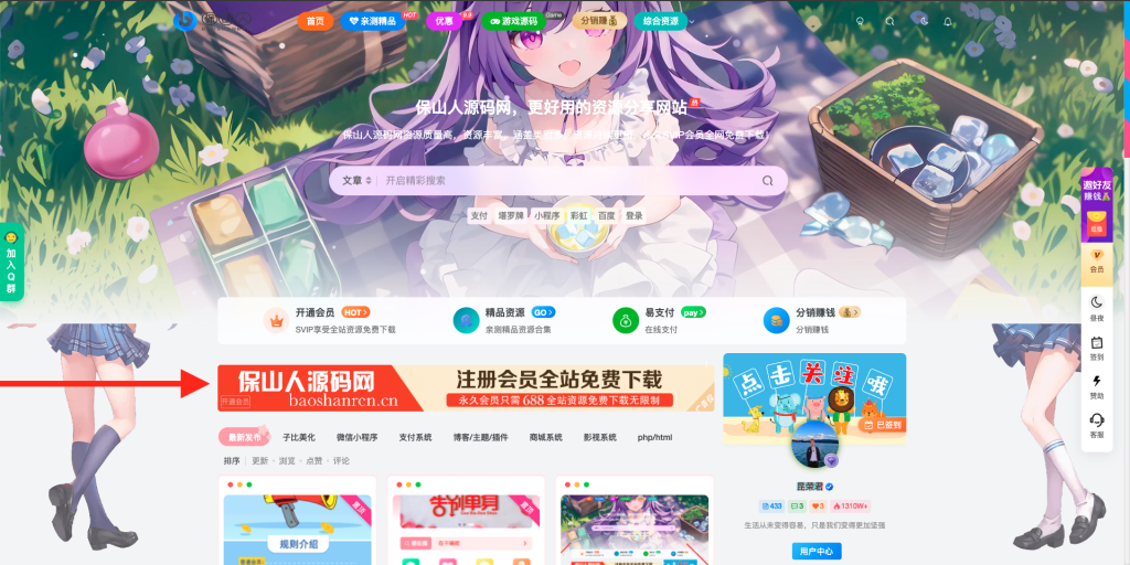 子比主题美化-会员开通引导区块
