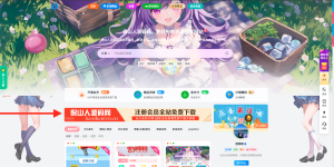 子比主题美化-会员开通引导区块-保山人源码网-免费PHP网站源码模板,插件软件资源分享平台！