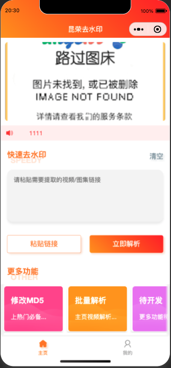 去水印小程序源码